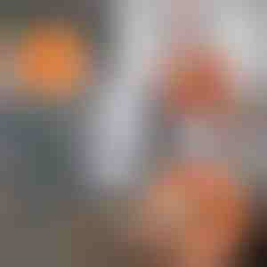 360 stupňů otočný a nastavitelný čisticí mop | CORALMOP