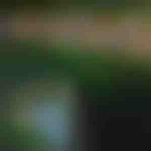 Solární venkovní svítidlo ve tvaru motýlů | FLUTIX