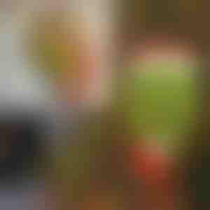 Vánoční dekorace | ELFLEGS