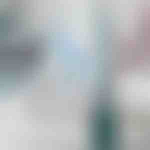 WC kartáč se zabudovaným dávkovačem čisticího roztoku | FLUSHBRUSH