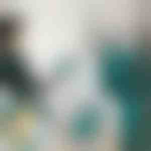 Mini napařovací žehlička | FERROLITE