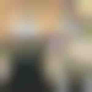 Simulace vistáriového květu | WISBLOOM