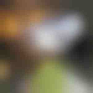 Solární zaměřovač se snímačem pohybu | LUMACAM