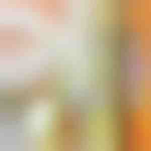 Víceúčelový krouhač | SLICEWISE