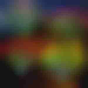 Solární květinová světla | ROSILUME