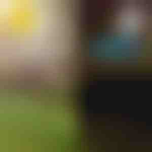 Solární tropická zahradní světla | LUMIPALM