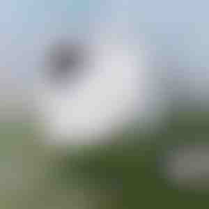 Bez námahy čištění oken | WINDOWSWIPE